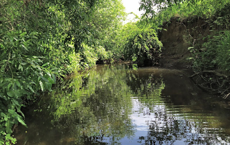 The Grayling pool